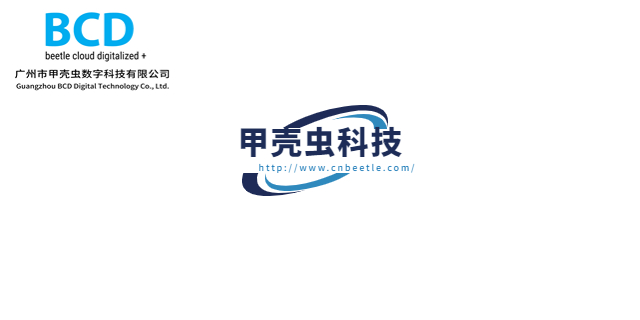 甲殼蟲(chóng)海外營(yíng)銷(xiāo)
