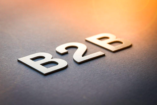 外貿(mào)b2b網(wǎng)站建設(shè)